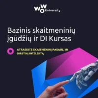 Bazinis skaitmeninių įgūdžių ir DI kursas